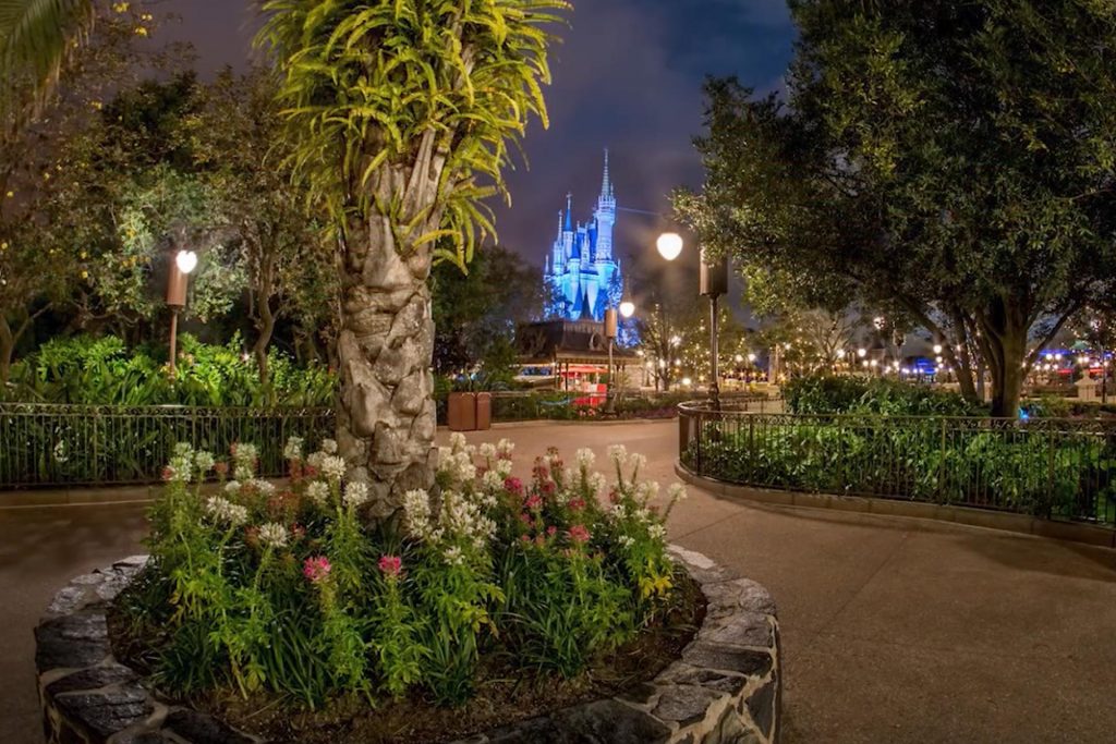 A night view of the path leading to the castle at Disney world with no people walking on the path.