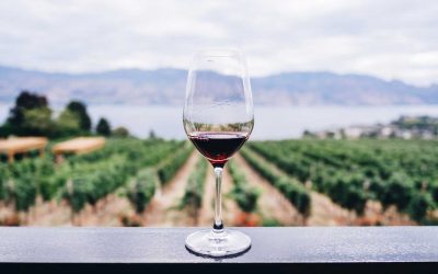 Walla Walla: The Rising Star of American Wine Country