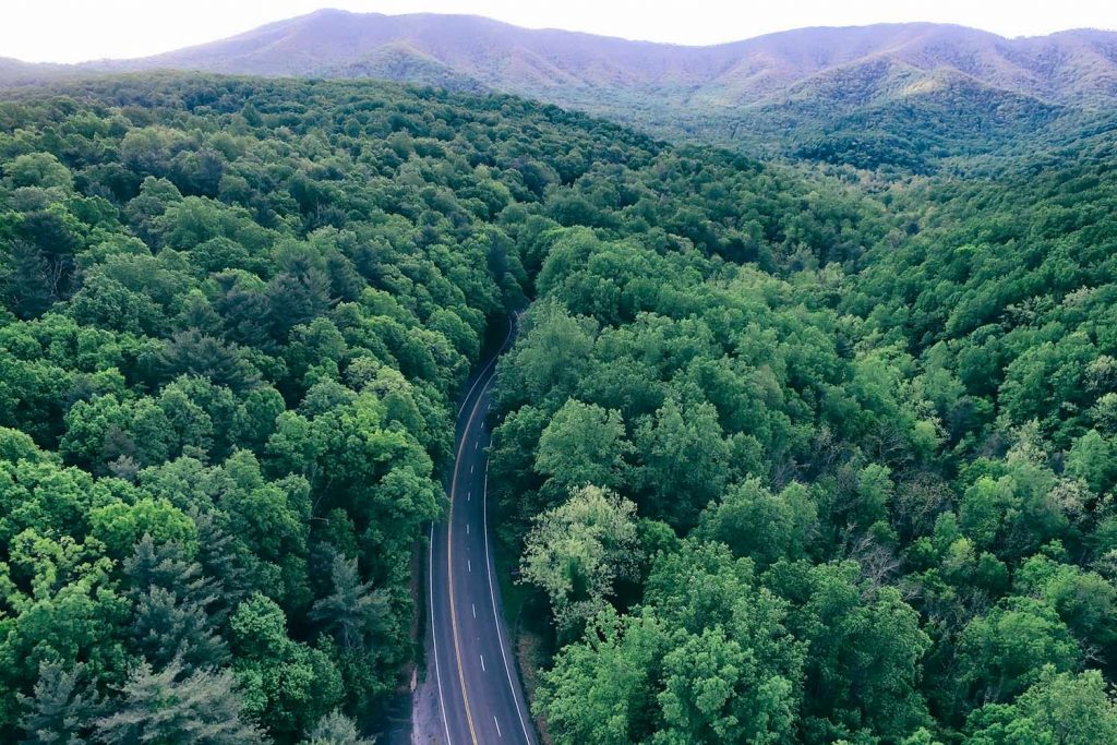 The Skyline Drive of Virginia at Shenandoah National Park makes for an iconic US summer road trip.