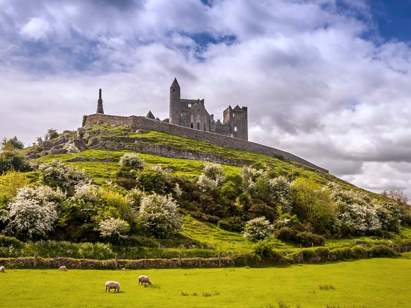 View of The Rock of Cashel, a limestone outcrop with Medieval edifices, including a 12th-century tower & a Gothic cathedral.